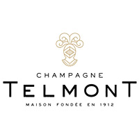 天津回收玳慕香槟TELMONT-品牌介绍